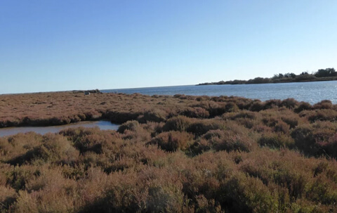 circuit randonnees serignan loisirs (3)