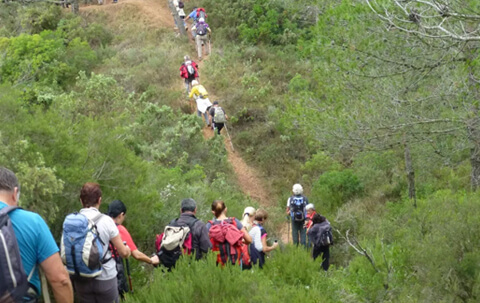 circuit randonnees serignan loisirs (5)