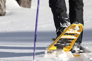 activite raquette serignan loisirs association