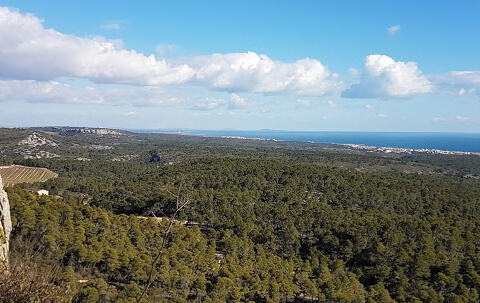 circuit randonnees serignan loisirs (2)